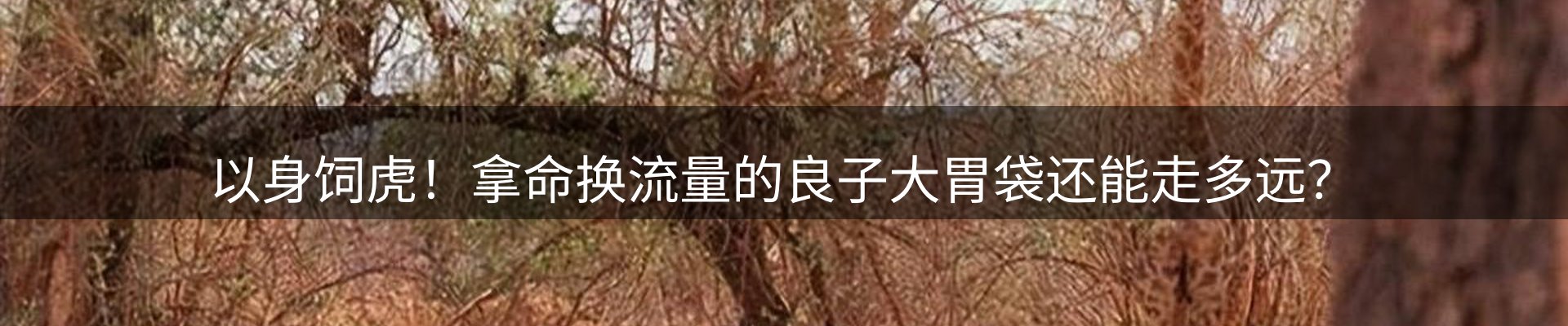 内页banner